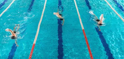 Учимся плавать кролем, брассом и баттерфляем с нуля 🏊