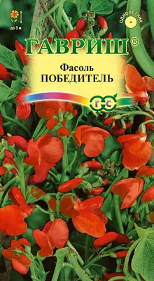 Победитель проекта «Твой Ход» Георгий Шарипов развивает онлайн-сервис  ментального здоровья