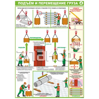 Упражнение подъем штанги на бицепс стоя. Фитнес упражнения.