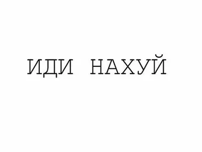 Кот, пошли пить кофе? Пошел нахуй😂 | Instagram