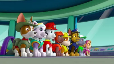 НАБОР СУПЕРГЕРОИ 7 ЩЕНКОВ В ПЛАЩАХ + РАЙДЕР ЩЕНЯЧИЙ ПАТРУЛЬ(PAW PATROL)