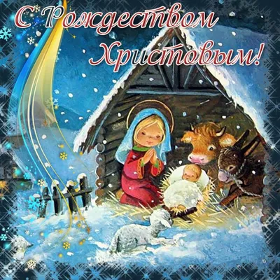 Поздравление главы муниципального образования Новокубанский район с  Рождеством Христовым
