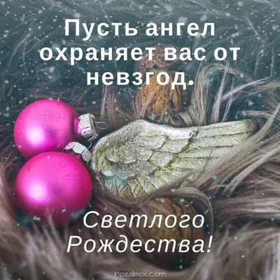 Поздравительная открытка с Рождеством — Slide-Life.ru