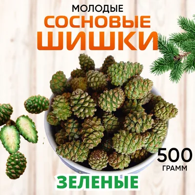 Шишки сосновая 3-6 см натуральные Золотая купить по цене 4.50 грн в  магазине рукоделия 100 идей