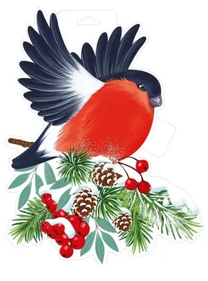 Лесная птица снегирь на ветке ели. Акварельная иллюстрация. Формат А4. в  магазине «ArtWayNatlee» на Ламбада-маркете