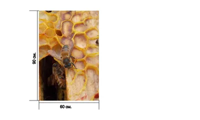 Соты , мёд золотом стекает , пчё…» — создано в Шедевруме