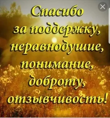 🔆Друзья, большое спасибо за помощь! Мы... - Приют \"Островок\" | Facebook