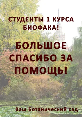 Благодаря вектор концепции. Маленькие люди, спасибо за помощь. Клиенты  ценят сервис для того, чтобы уровень. Звезда сердца Иллюстрация вектора -  иллюстрации насчитывающей икона, обслуживание: 184210522