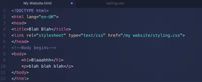 Why wont my HTML link to my CSS style sheet? - HTML-CSS - The freeCodeCamp  Forum