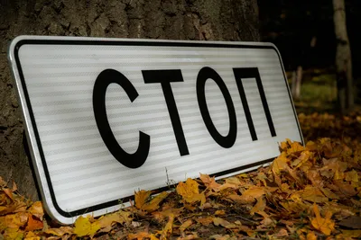 Знак «Стоп»: где нужно остановиться и какие штрафы за нарушение :: Autonews