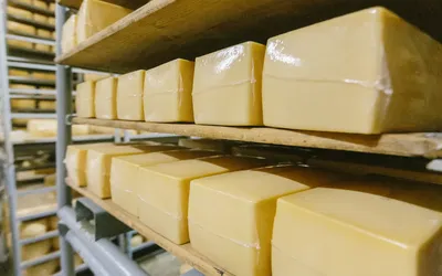 Сыр плавленый c ветчиной Hochland 55%, 200 г - купить с доставкой в  Ростове-на-Дону - STORUM