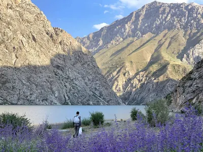 Tajikistan: Arbitrary detention of three members of the human… | OMCT