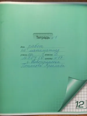 Купить Тетрадь школьная 24л., линия, Фоновая обложка Бриск в магазине  HappyPen.