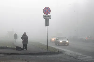 Туман , профессиональное фото, …» — создано в Шедевруме