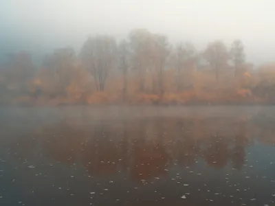 Город во мгле»: Калининград накрыл густой туман