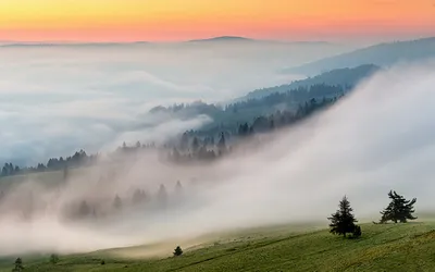 Туман в горах. Фотограф Грачёв Олег