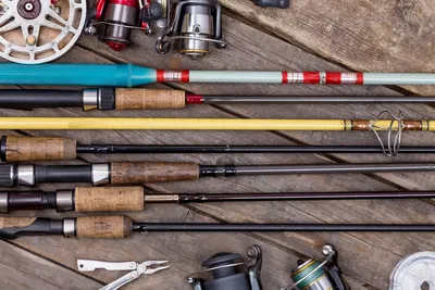 Набор рыбака AZOR FISHING: Удочка, карбон, катушка, леска, поплавок купить  с выгодой в Галамарт