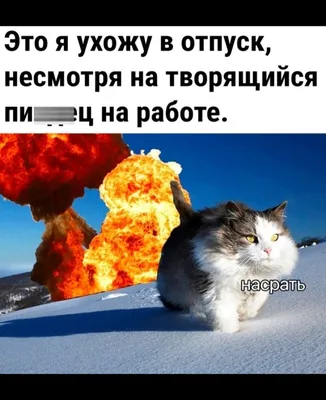 Ушел В Отпуск - http://ushel-v-otpusk.com.ua/node/1195 | Facebook