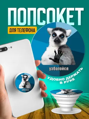 тетрадь 48 листов ML Узбагойся 028264 в клетку - купить с доставкой - ТД  \"Глобус\", Воронеж