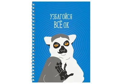 УЗбагойся и проголозуй! » Всі новини Кременчука на сайті Кременчуцький  ТелеграфЪ