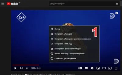 В Google Chrome и Microsoft Edge можно отключать звук в режиме \"картинка в  картинке\"