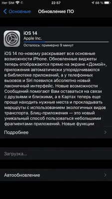 Картинка в картинке в приложениях «Фото» и «Файлы» на iPhone и iPad | Тузов  Павел