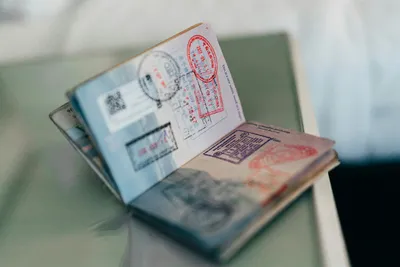 Documents required to obtain a visa | Holocaust Encyclopedia