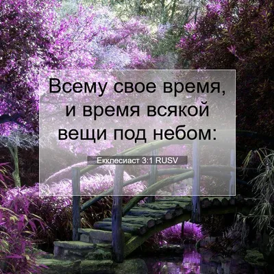 Всему свое время. Средства и способы выражения времени в русском языке.  Хавронина С., Казнышкина И.