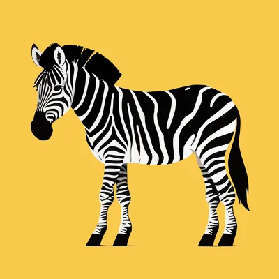 Zebra guide: species facts, where they live and migration - Discover  Wildlife