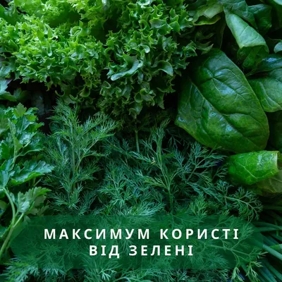 Ассорти из зелени, 70 г_РП с бесплатной доставкой на дом из «ВкусВилл» |  Москва и вся Россия