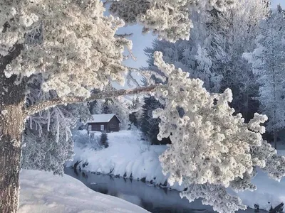 Февраль. Фотограф Игнатьев Александр