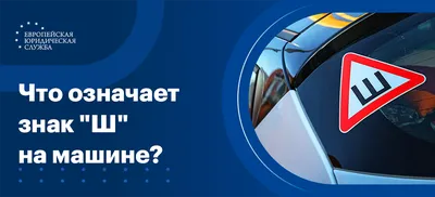 Знак «Шипы» и велосипедная зона. Только за декабрь в ПДД многое изменилось  | ИА Красная Весна