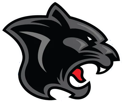 Download Panther Png File HQ PNG Image | FreePNGImg