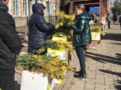 Самые красивые открытки с 8 марта – Привет Пипл!