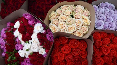 Цветы, которые дарят на 8 марта: список лучших цветов на 8 марта | Блог  Семицветик