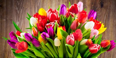 Цветы на 8 марта купить в Москве по выгодной цене c бесплатной доставкой ✿  Интернет-магазин Bella Roza