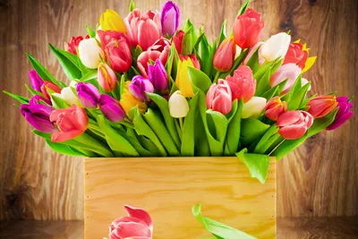 Эти цветы ни в коем случае нельзя дарить коллеге на 8 марта