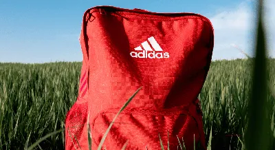 Adidas gift card deal: Save $25 on a $100 gift card | CNN Underscored