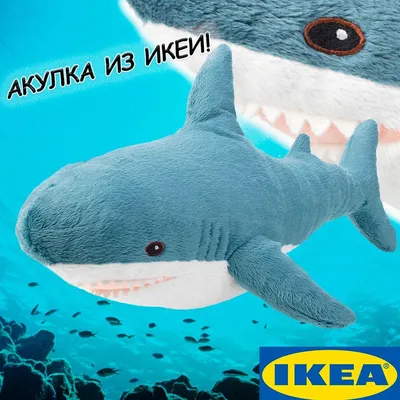 Blahaj the blue ikea shark