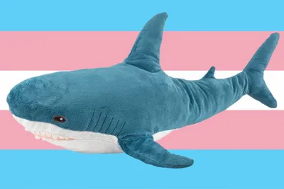 How the IKEA Shark Became a Trans Icon