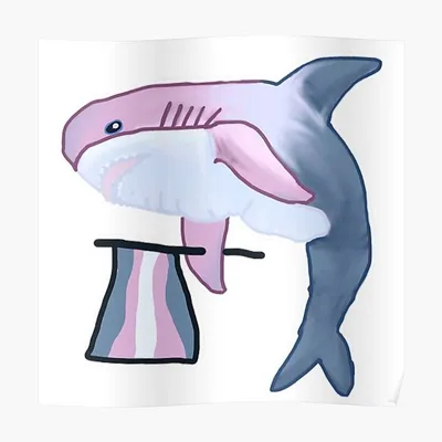 How the IKEA Shark Became a Trans Icon