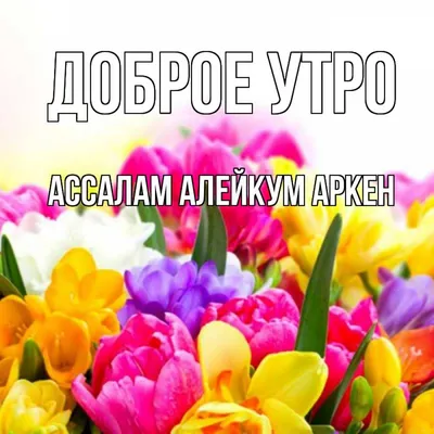 ассалам алейкум доброе утро и баракатного дня｜Поиск в TikTok