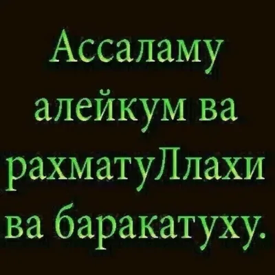 Путин поприветствовал муфтия словами «алейкум ас-салям»: Политика: Россия:  Lenta.ru