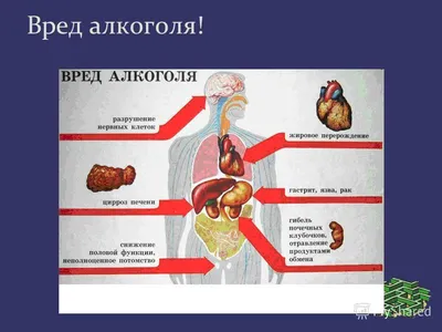 Картинки алкоголь вред фотографии