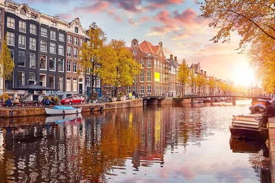 31 Fun Things to Do in Amsterdam in 2024 - Travel Addicts