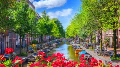 Visit Amsterdam in Netherlands with Cunard