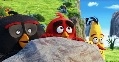 Angry Birds - YouTube