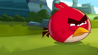 Angry Birds by DGArtDMM on DeviantArt