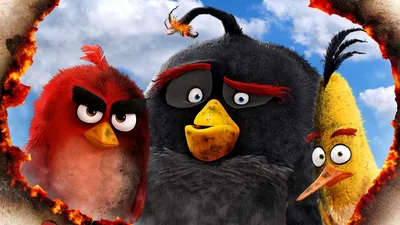 The Angry Birds Movie' takes aim at young kids — and wins | The Seattle  Times