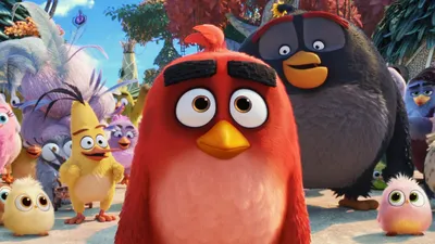 Watch Angry Birds | Netflix